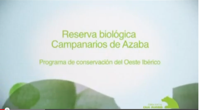 Video de la Reserva Biológica de Campanarios